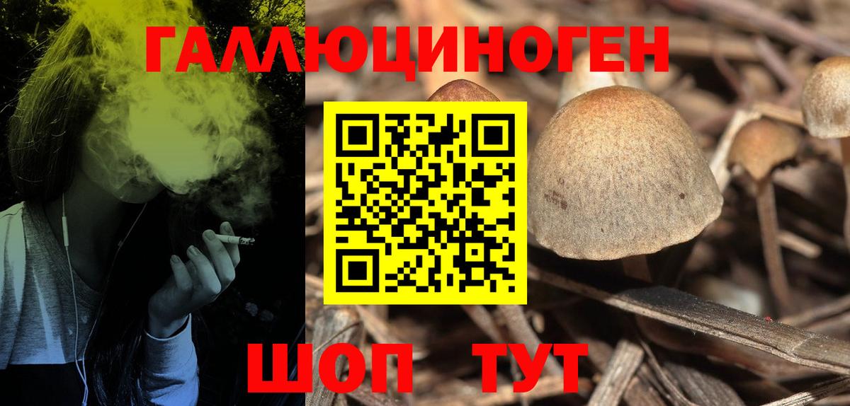 Галлюциногенные грибы мухоморы Лесной
